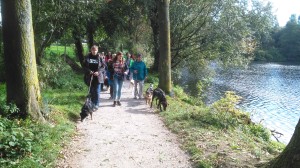 Herbstspaziergang2016